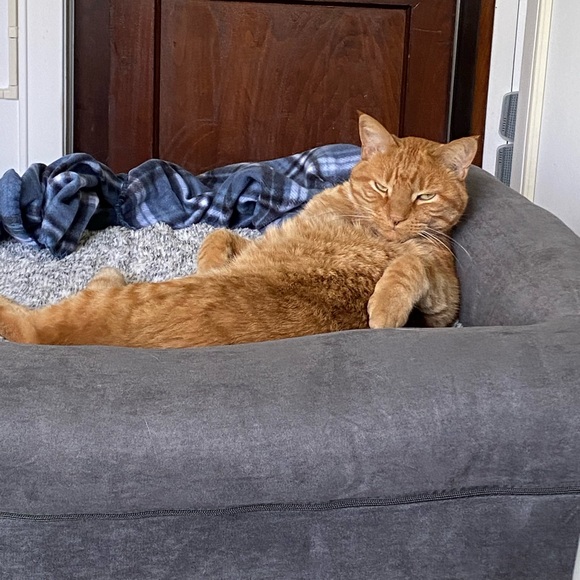 Meet your Posher, Amy - Picture 2 of 2